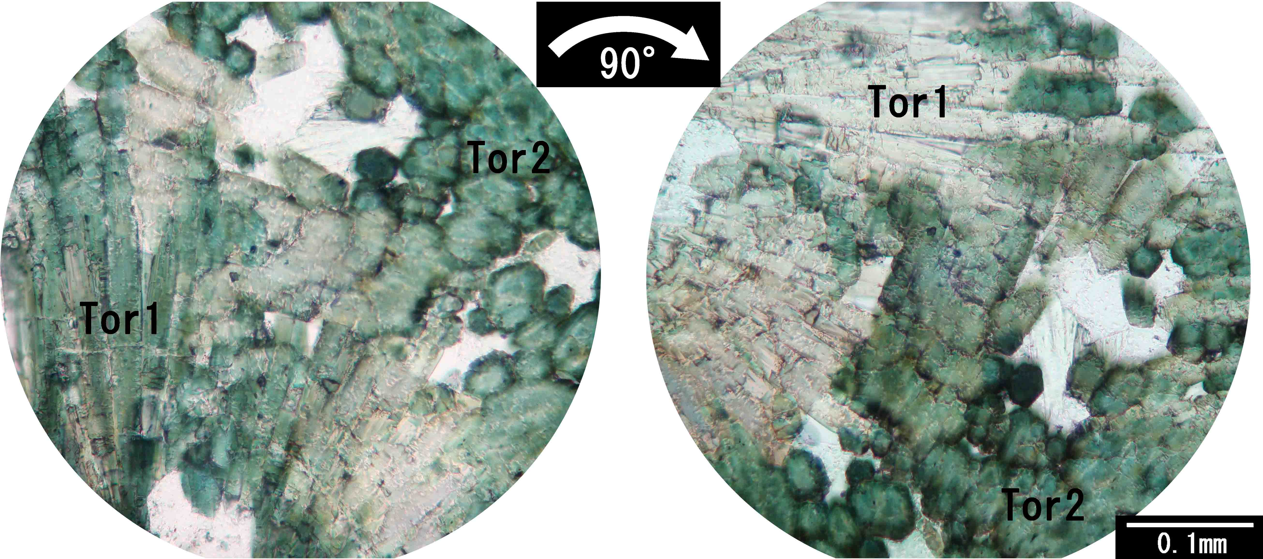 電気石 tormaline